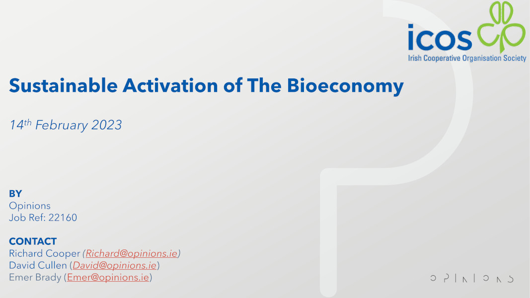 Bioeconomy Activation Research Report